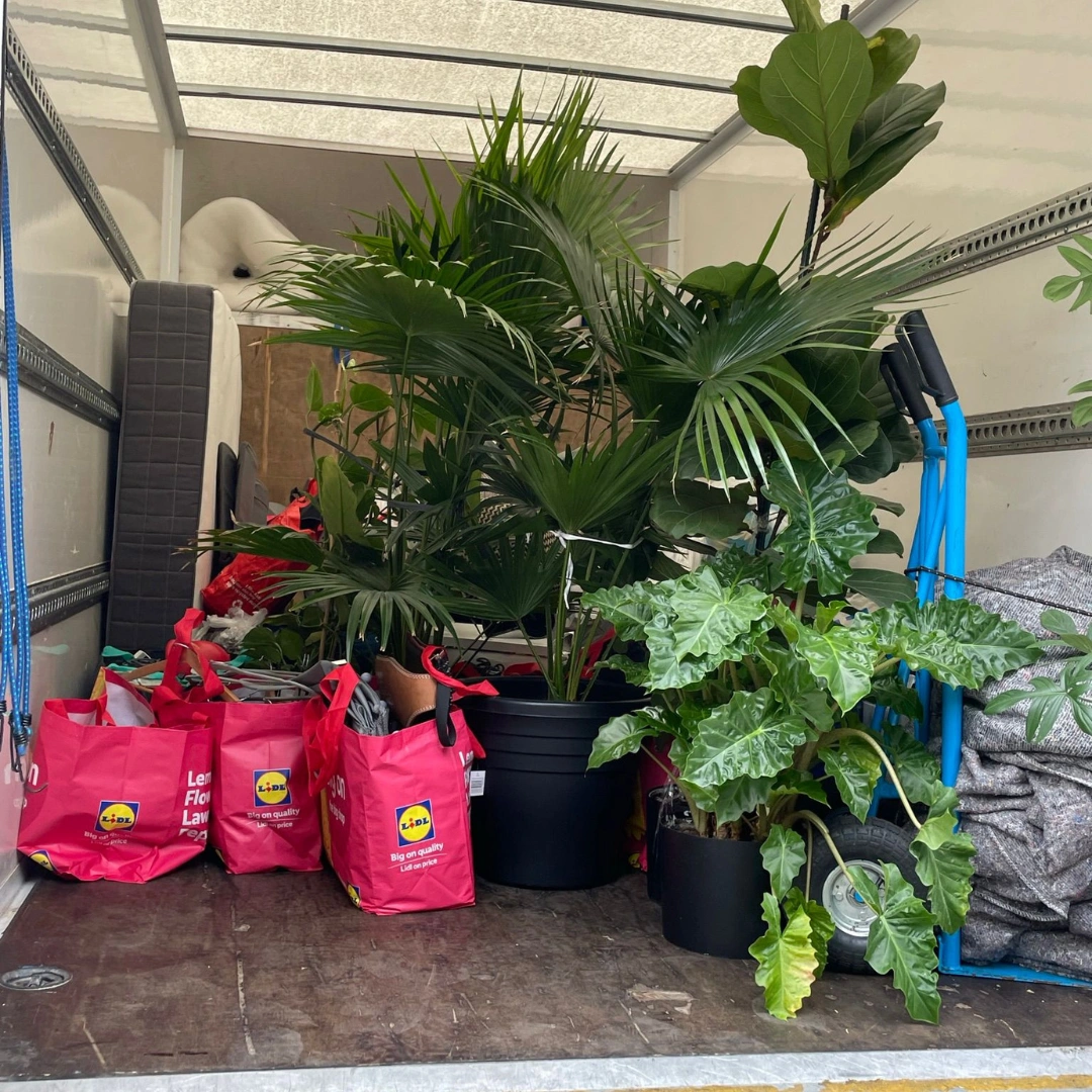 4 quick manchester movers